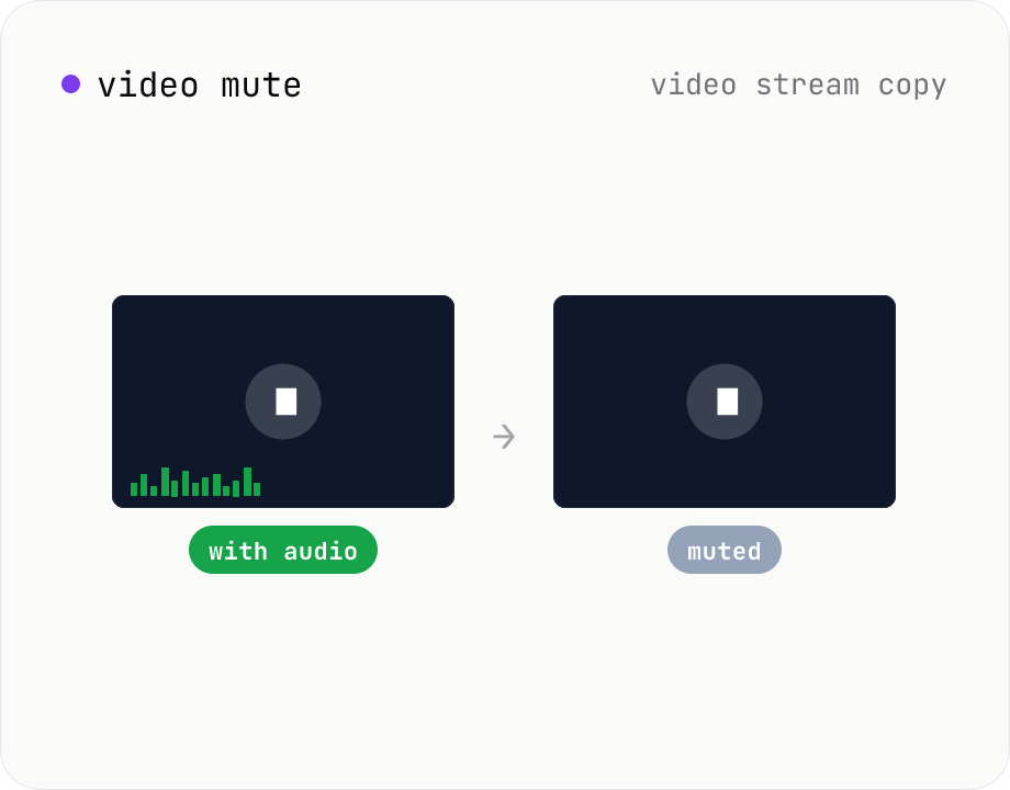 Video mute